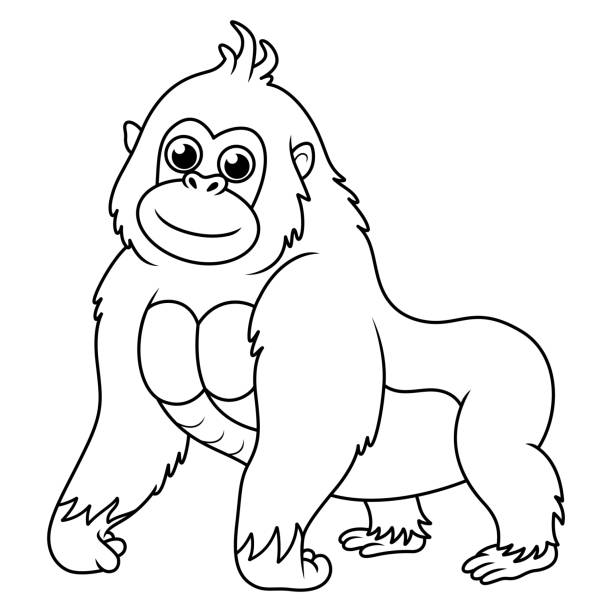 lustiger gorilla der karikatur in der strichzeichnung - gorilla endangered species large isolated stock-grafiken, -clipart, -cartoons und -symbole