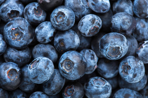 istock Close-up of fresh Blueberries (Northern Highbush Blueberry). Selective focus. Top  view 1500584163