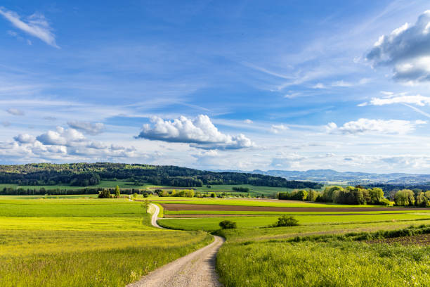 istock Path in a valley with meadows, fields, forest and farms against a cloudy sky 1500585644