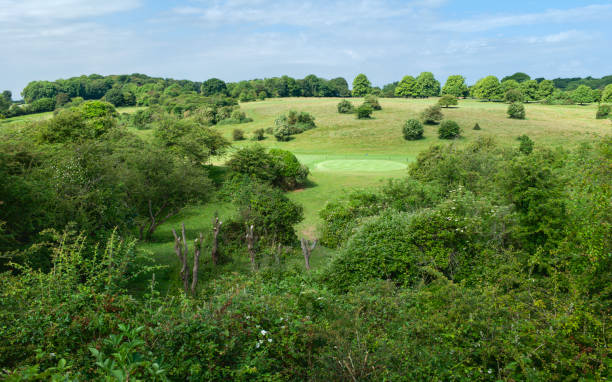 istock Westwood public parkland and golf course in summer, Beverley, UK. 1500595166