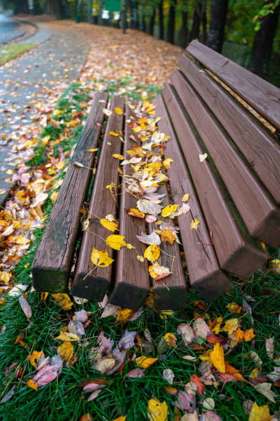 istock Romanic views of falling leaves on bench 1500597594
