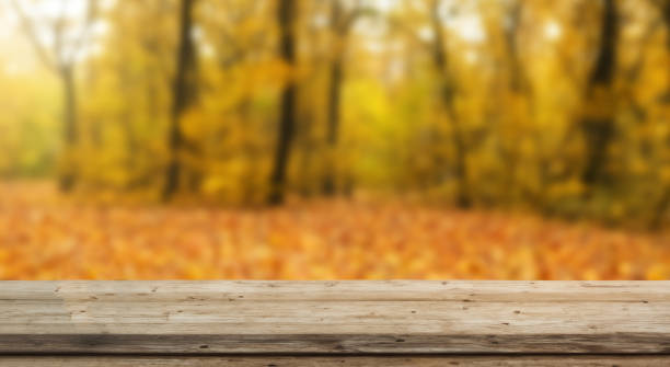 istock beautiful autumn landscape with a table in high definition 1500598271