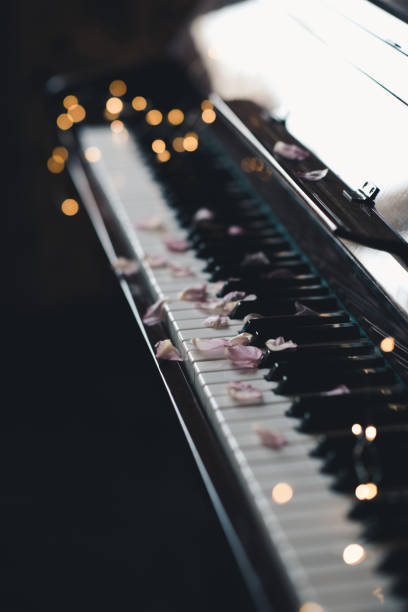 istock Piano keys with rose petals in dark closeup 1500600236