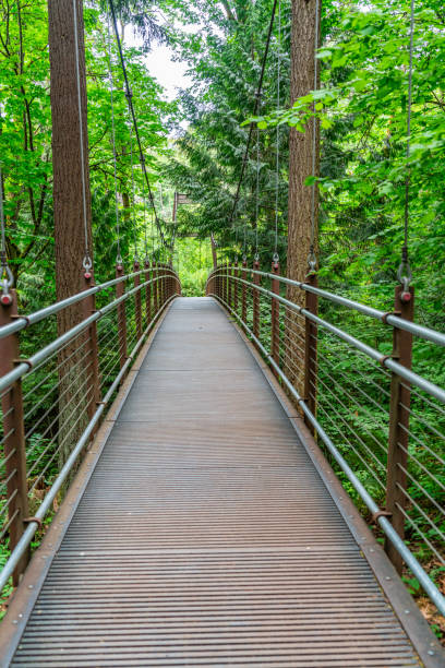 istock Bellevue Suspension Bridge 4 1500607045