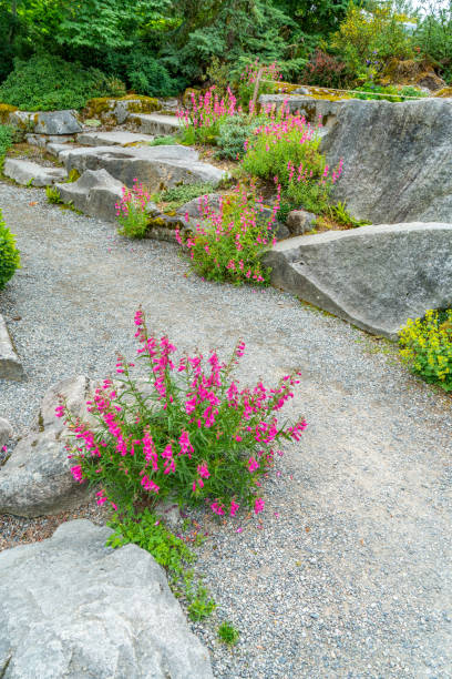 istock Rocks And Red Flowers 1500607203