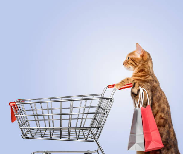 istock Cat with a shopping cart on a colored background. 1500607527