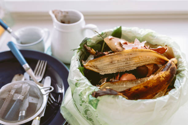 istock Leftover food in trash can in kitchen 1500611478