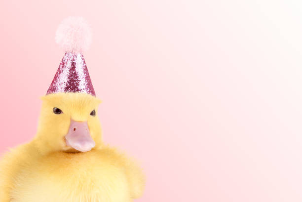 istock Cute duckling in birthday hat. 1500621451