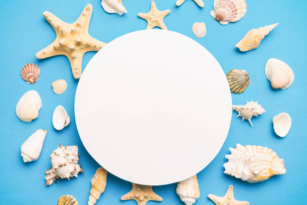 Summer time concept with blank greeting card and blank white paper on colored background. Seashells from ocean shore in the shape of frame separated with space for text top view