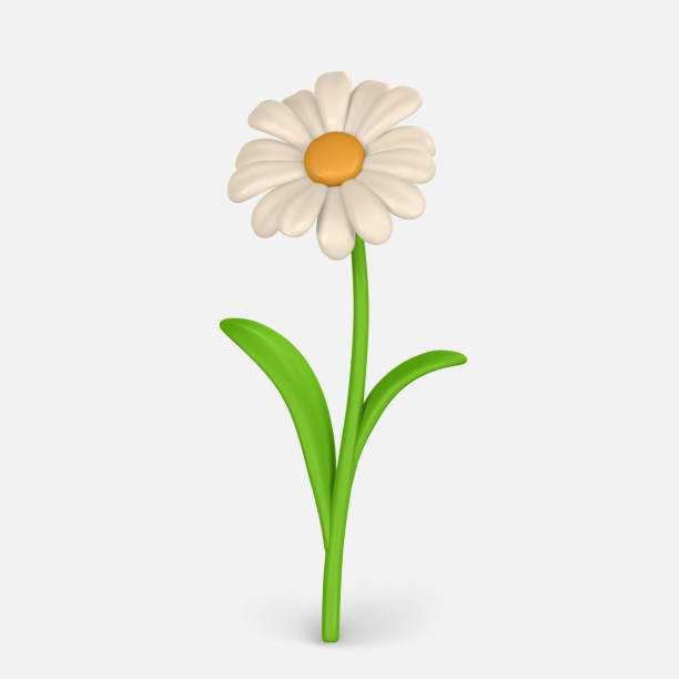 istock 3D Cute colorful daisy flower. Chamomile in cartoon style. Vector illustration 1500628118