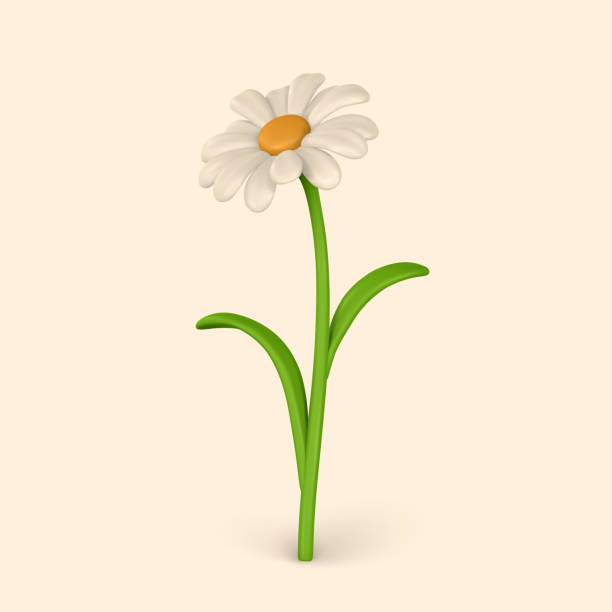 istock 3D Cute colorful daisy flower. Chamomile in cartoon style. Vector illustration 1500628791
