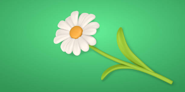 istock 3D Cute colorful daisy flower on green background. Chamomile in cartoon style. Vector illustration 1500628898