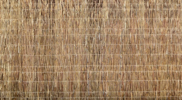 밀짚 벽. - wicker textured bamboo brown 뉴스 사진 이미지