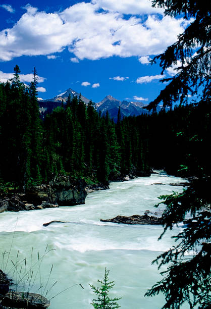 istock Banff National Park, Alberta, Canada 1500638918