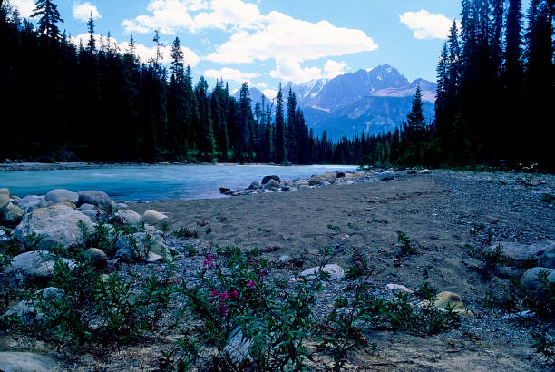 istock Banff National Park, Alberta, Canada 1500638919