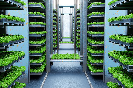 indoor vertical farming - 3D-Illustration