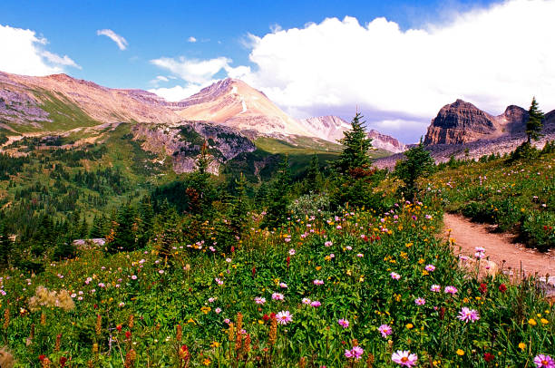 istock Banff National Park, Alberta, Canada 1500639002