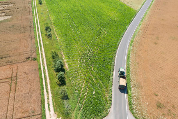 istock Summer landscape of the Palatinate/Germany 1500641996