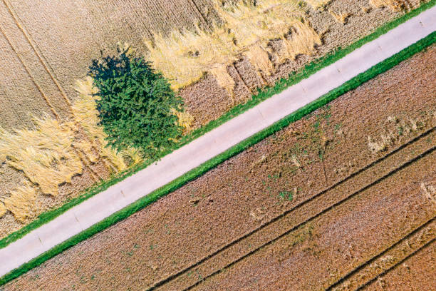 istock Summer landscape of the Palatinate/Germany 1500641998