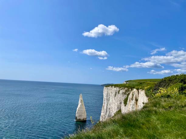 Chalk sea stack just off the Jurassic coast This 4 mile circular walk from Studland to Old Harry Rocks and into the chalk grasslands of Ballard Down is one of the loveliest on the Isle of Purbeck. May 16, 2023. studland heath stock pictures, royalty-free photos & images