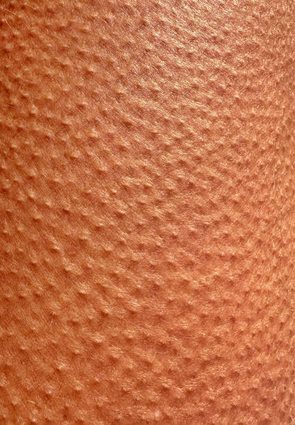 Goosebumps Macro stock photo