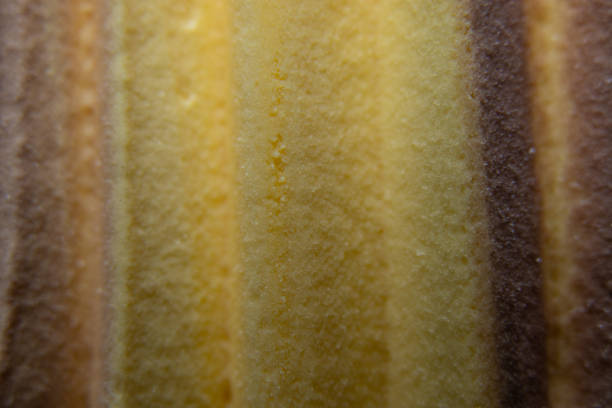 istock chocolate orange ice cream wave as background macro photo 1500656961