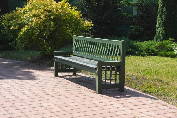 istock Green bench standing in a park with green plants 1500657071