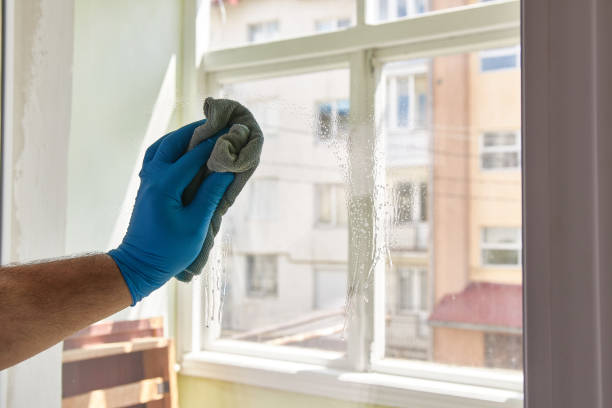 istock The window is washed with a cloth and detergent. House cleaning. Homework. 1500661327