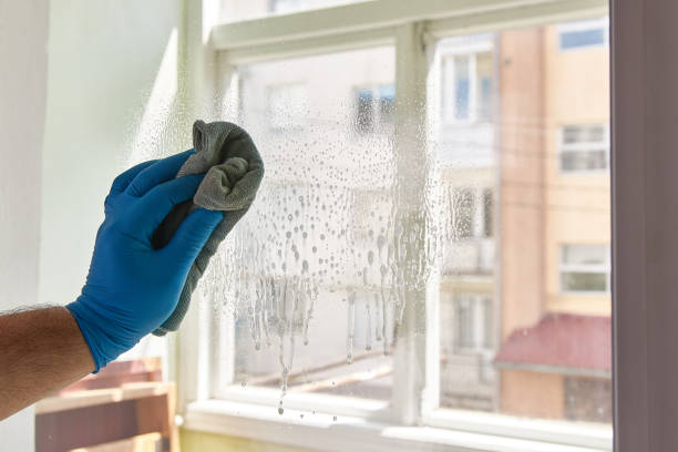 istock The window is washed with a cloth and detergent. House cleaning. Homework. 1500661502