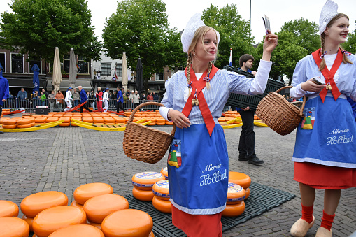 Alkmaar, The Netherlands - June 2, 2023: Scene Of Alkmaar Cheese Girl Giving Alkmaar City Free Map To People, Carriers Carrying Cheese On Their Shoulder And Walking, Tourists And Locals Standing, Looking Around, Taking Picture And More During Alkmaar Annual Traditional Cheese Market. Alkmaar Cheese Market Takes Place In Alkmaar Main Square From March Through September And Open Every Friday From 10 A.M To 1 P.M