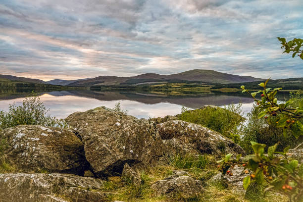 галлоуэйский лес - dumfries and galloway стоковые фото и изображения