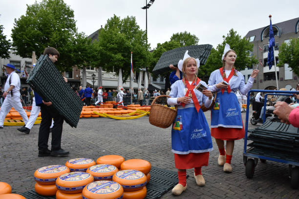 Dutch Traditional Cheese Market In Alkmaar City The Netherlands Europe, People Alkmaar, The Netherlands - June 2, 2023: Scene Of Alkmaar Cheese Girl Giving Alkmaar City Free Map To People, Carriers Carrying Cheese On Their Shoulder And Walking, Tourists And Locals Standing, Looking Around, Taking Picture And More During Alkmaar Annual Traditional Cheese Market. Alkmaar Cheese Market Takes Place In Alkmaar Main Square From March Through September And Open Every Friday From 10 A.M To 1 P.M cheese dutch culture cheese making people stock pictures, royalty-free photos & images