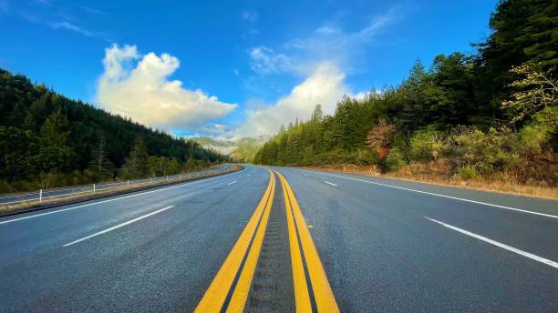 istock a view of an empty highway lined with trees and shrubs 1500668838
