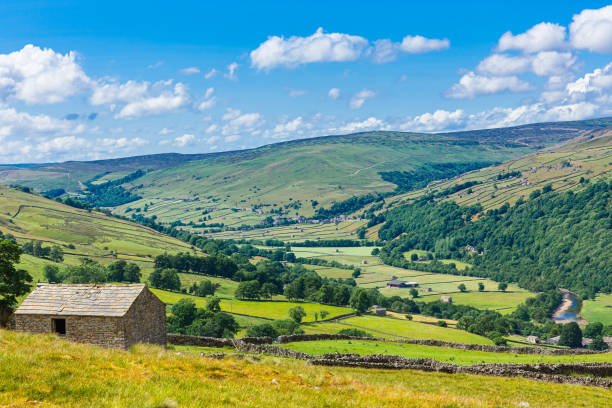 swaledale w yorkshire dales.   wysoko nad wioską gunnerside z kamiennymi stodołami, gospodarstwami, murami z suchego kamienia i łąkami oraz rzeką swale przepływającą przez dolinę. - swaledale zdjęcia i obrazy z banku zdjęć