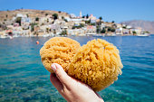Tourist person holding local Greek Symi island sea sponge, with Symi town on background on sunny summer day. Symi is popular for its sea sponge industry.