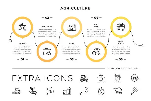 Vector illustration of Agriculture Line Icons and Infographic Template