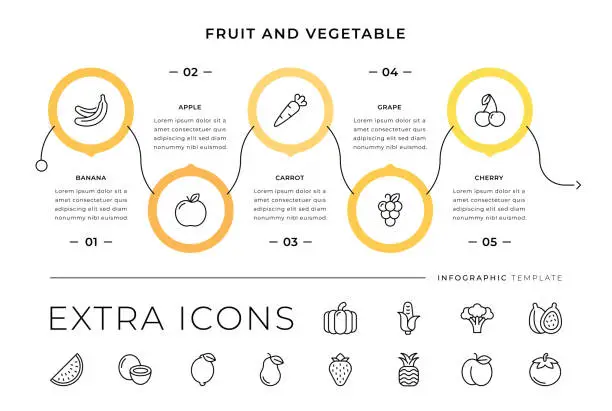 Vector illustration of Fruit and Vegetable Line Icons and Infographic Template