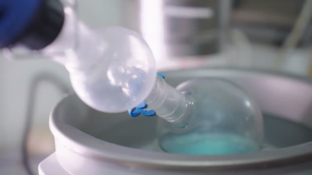 woman hand in protective glove wearing plastic lock to big round bottom flask containing unknown blue solution to separate in Laboratory rotary evaporator for chemical preparation