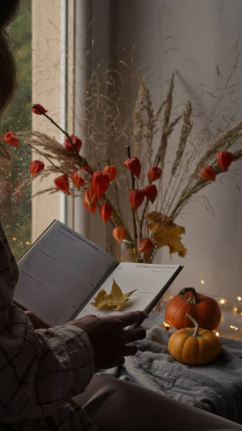 가을 분위기의 아름다운 분위기의 사진. 오렌지 physalis, 호박, 가벼운 화환, 담요 및 비에 젖은 창문 근처의 창턱에 책의 가지가 있는 꽃병. 가을, 가을, 휘게 가정 장식. - window rain winter house 뉴스 사진 이미지