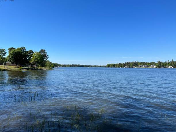 istock Tranquil scene featuring Lake Marion, surrounded by lush greenery on a sunny day 1500685865