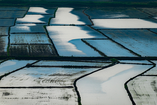 view of rice fields that have been harvested in West Java