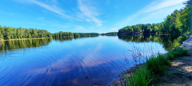 istock Beautiful lake in summer 1500687294