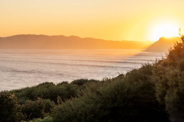 Raglan Harbour At Sunrise