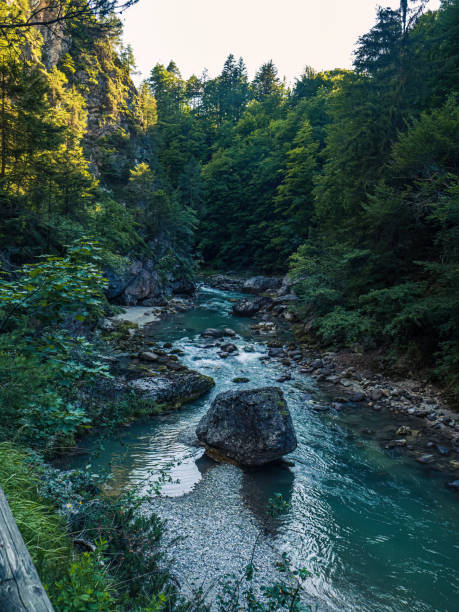 Mountain gorge Orrido Dello Slizza in Tarvisio, Italy, Friuli Mountain gorge Orrido Dello Slizza in Tarvisio, Italy, Friuli with stream rocky valley canyon during summer golden hour sunset julian alps stock pictures, royalty-free photos & images