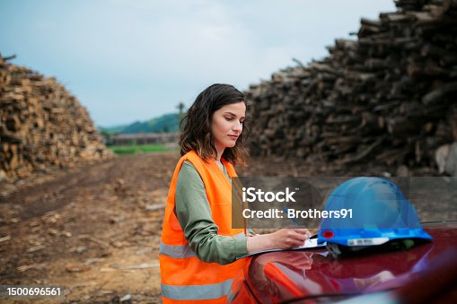 istock Woman worker doing an inventory check of timber in wood factory warehouse 1500696561