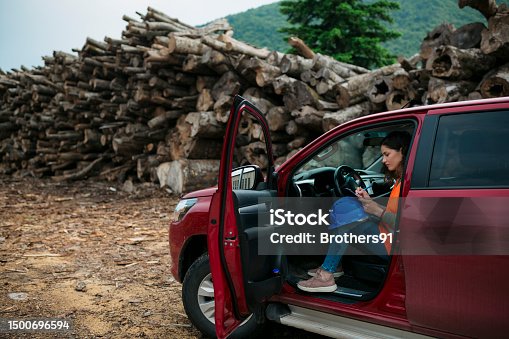 istock Woman sitting in car working in timber yard keeping record of cut wood logs stock 1500696594