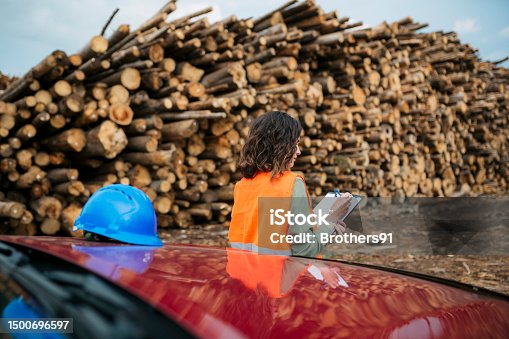 istock woman worker working at a wood factory doing the inventory on the logs 1500696597