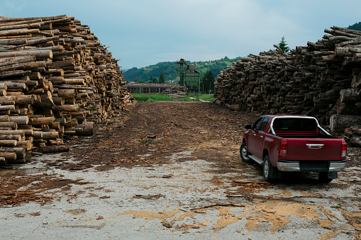 Large stacks of cut timber logs with a vehicle at a wood processing factory yard. Pile of chopped wood logs in open-air timber yard.