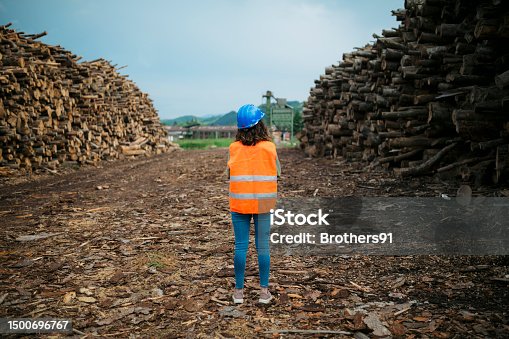 istock Woman worker walking through the timber storage area 1500696767