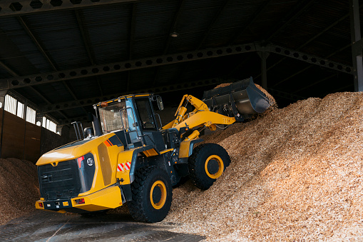Wheeled loader unloading sawdust in wood processing factory storage. Tractor building a large wood chip storage pile.